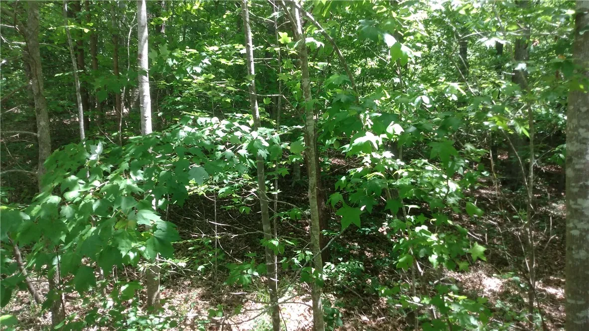 Property image 3 at Lot 29 Lake Breeze Road, Westminster, SC 29693