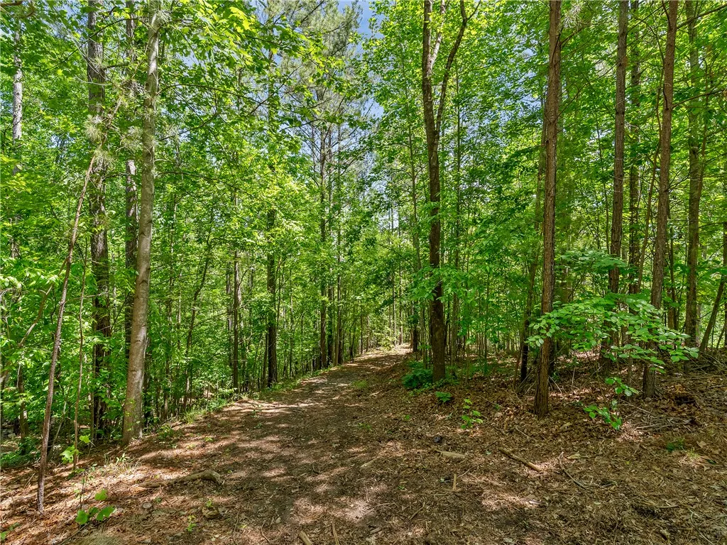 Property image 5 at 703 Misty Dawn Court, Salem, SC 29676