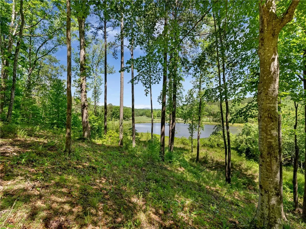 Property image 1 at Lot 75 Eagle Ridge Way, Salem, SC 29676