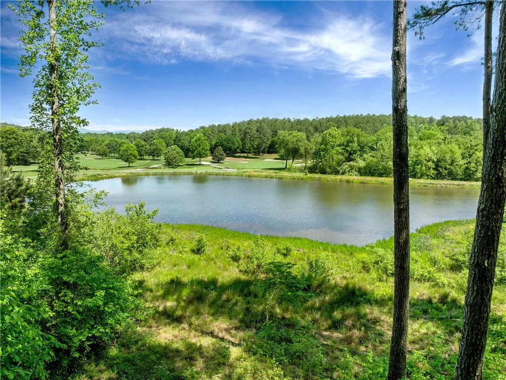 Property image 2 at Lot 75 Eagle Ridge Way, Salem, SC 29676