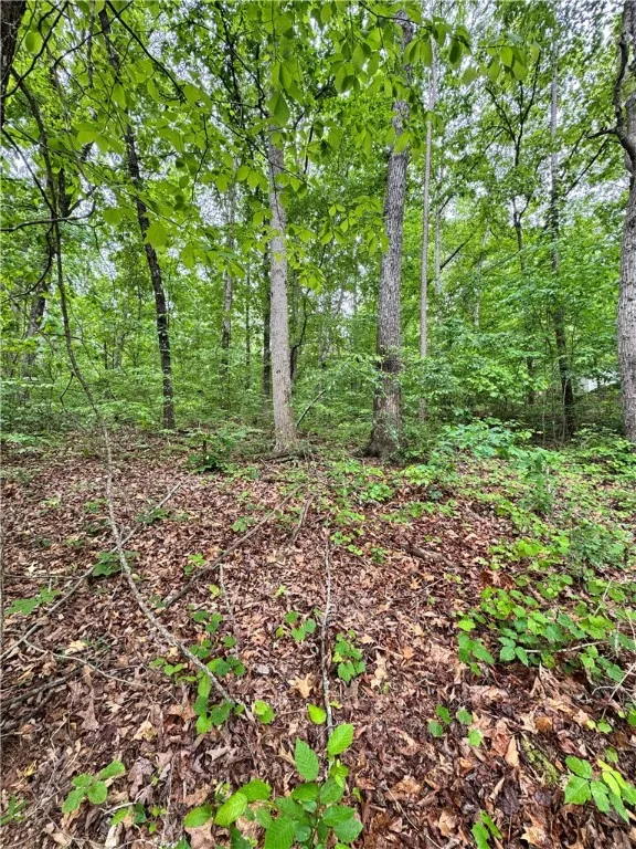 Property image 3 at 1040 Trailwinds Drive, Westminster, SC 29693