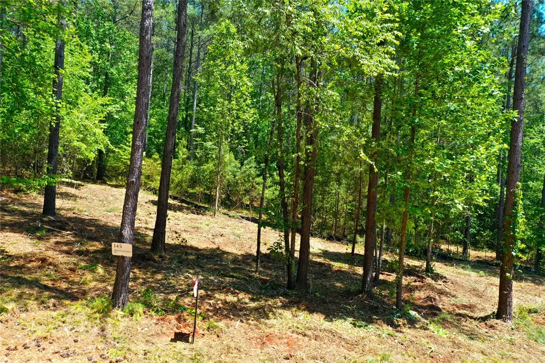 Lot 145 Peninsula Pointe North