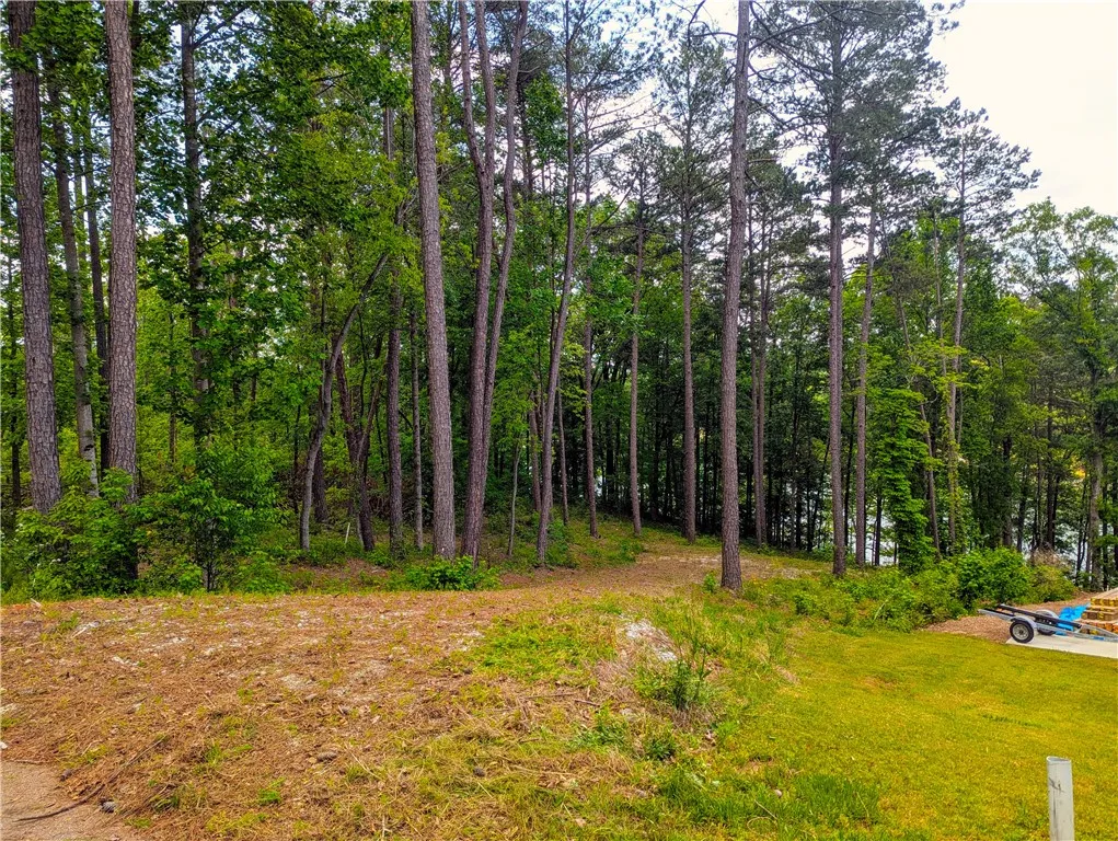 Property image 2 at 541 Peninsula Road, West Union, SC 29696