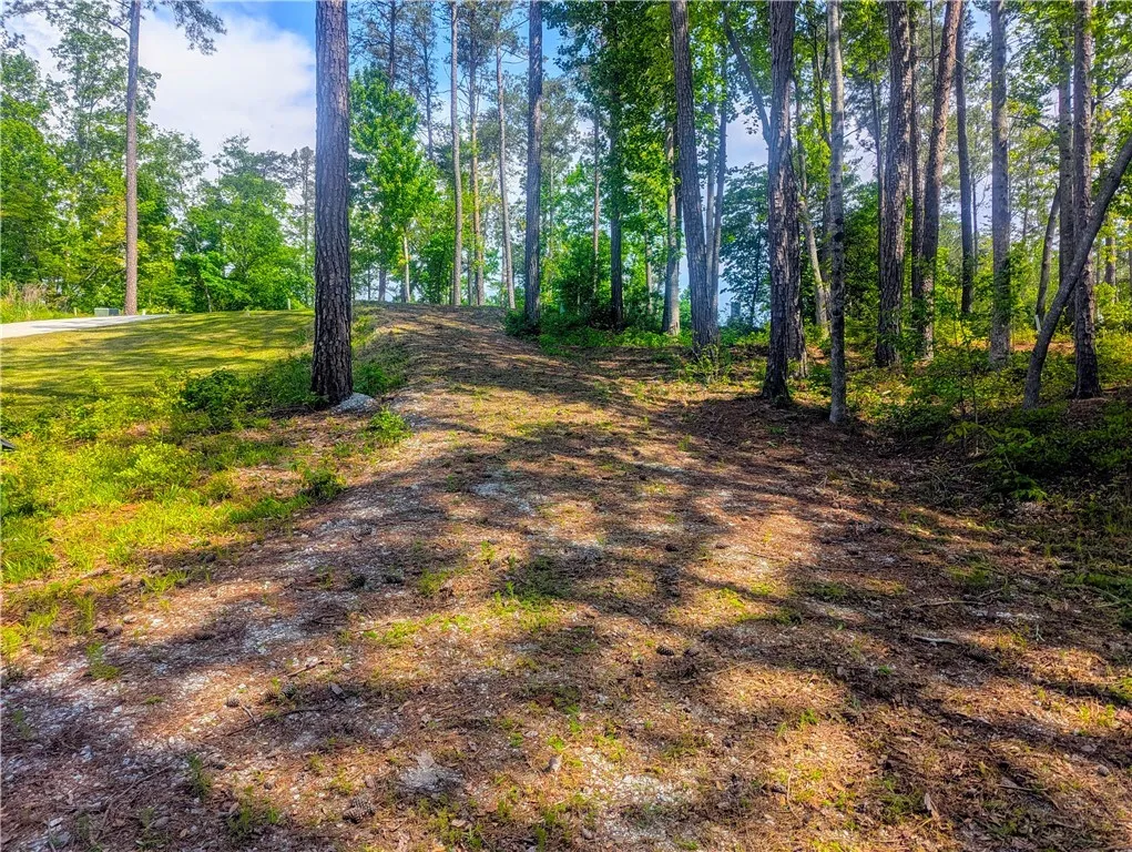 Property image 3 at 541 Peninsula Road, West Union, SC 29696