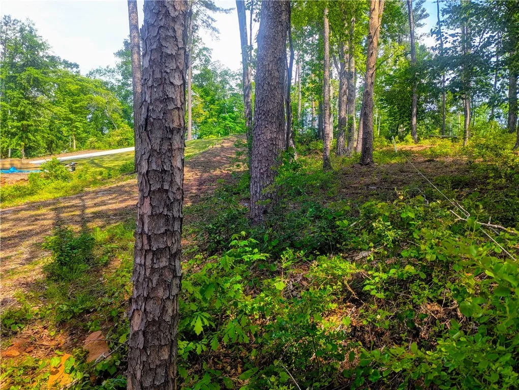 Property image 4 at 541 Peninsula Road, West Union, SC 29696