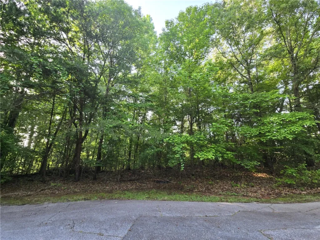 Property image 3 at Lot 356 E Laurel Drive, Westminster, SC 29693