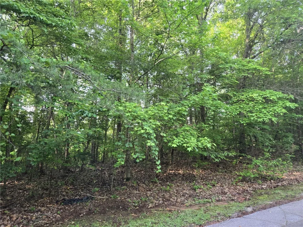 Property image 4 at Lot 356 E Laurel Drive, Westminster, SC 29693