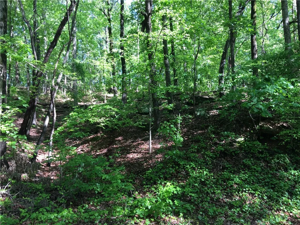 Property image 1 at 383 Beech Drive, Westminster, SC 29693
