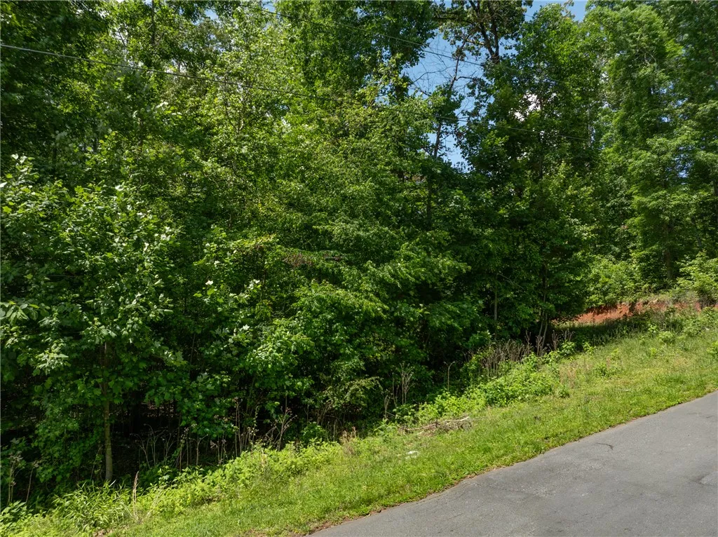 Lot 49 Brandywine Drive