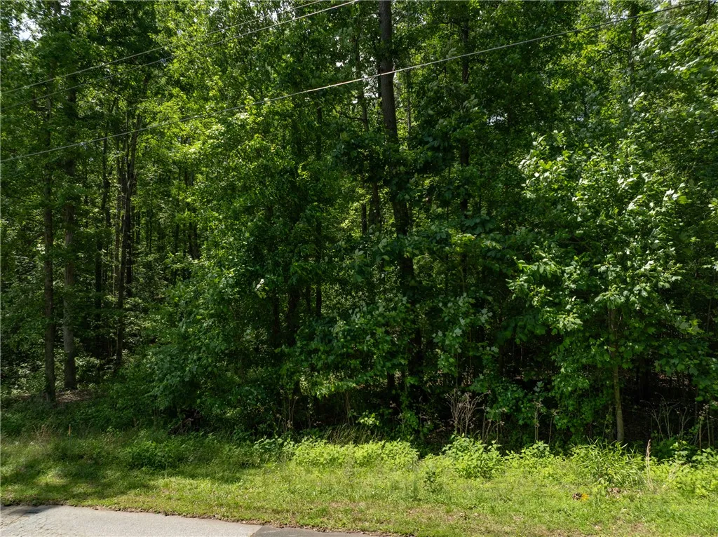 Property image 2 at Lot 49 Brandywine Drive, Westminster, SC 29693