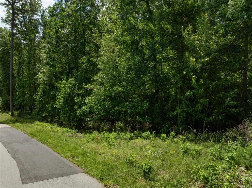 Property image 4 at Lot 49 Brandywine Drive, Westminster, SC 29693
