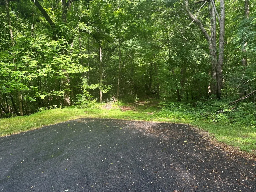 Property image 1 at 76 Southview Ledge Road, Landrum, SC 29356