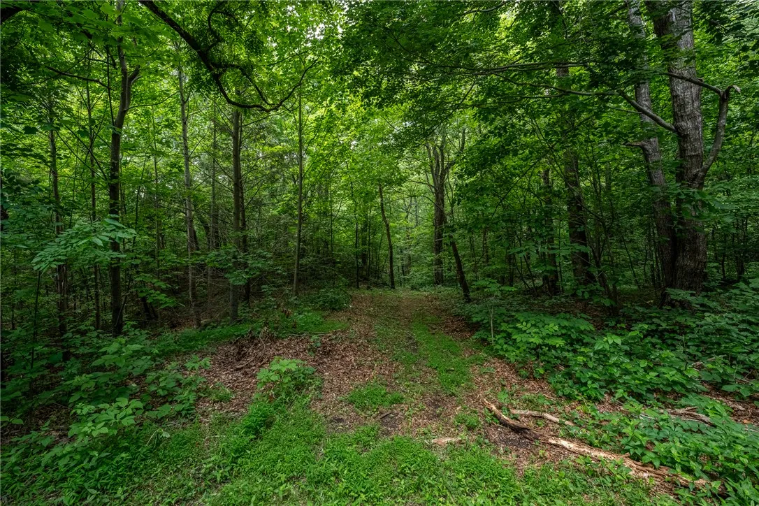 Property image 2 at 76 Southview Ledge Road, Landrum, SC 29356