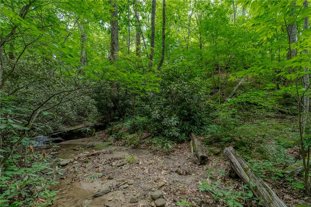 Property image 5 at 76 Southview Ledge Road, Landrum, SC 29356