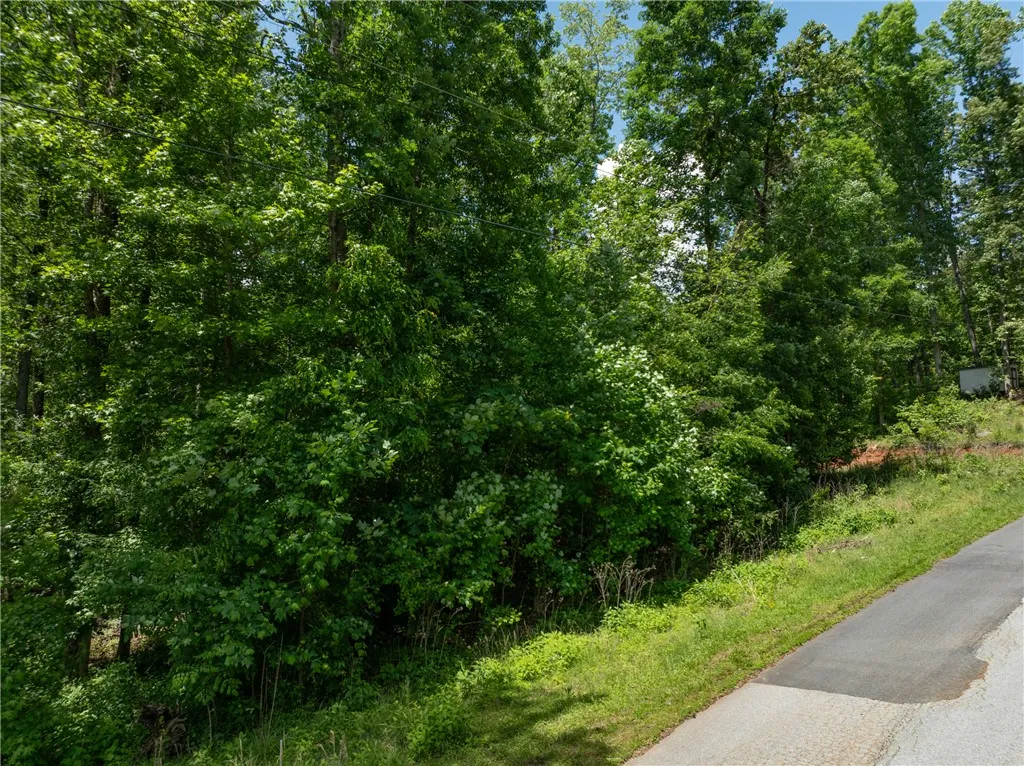 Property image 3 at Lot 50 Brandywine Drive, Westminster, SC 29693
