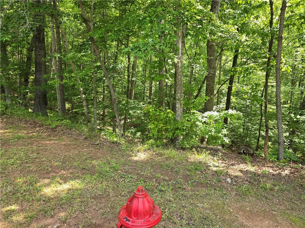 00 Laurel Drive