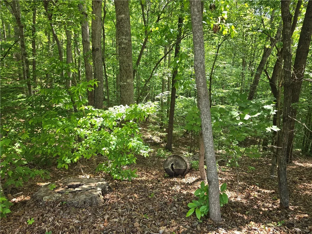 Property image 3 at 00 Laurel Drive, Westminster, SC 29693