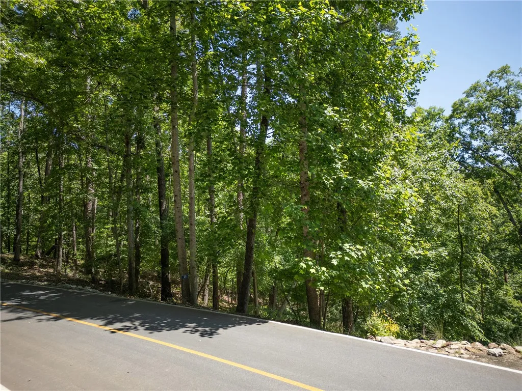 Property image 4 at 25 Foremast Drive, Salem, SC 29676