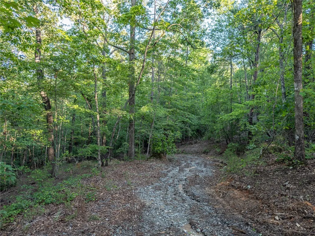 Property image 5 at Lot 22 Old Shallowford Bridge Road, Sunset, SC 29685