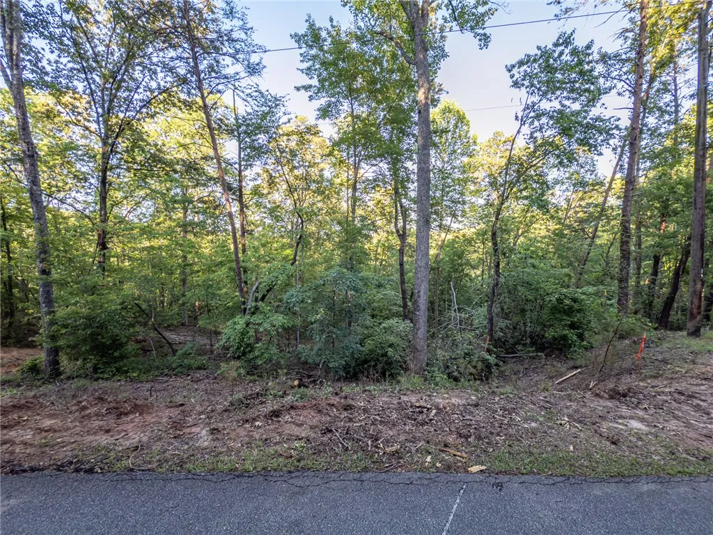 Property image 2 at Lot 23 Old Shallowford Bridge Road, Sunset, SC 29685