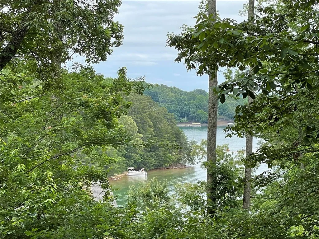 Property image 2 at Lot 1 Deep Water Way, West Union, SC 29696