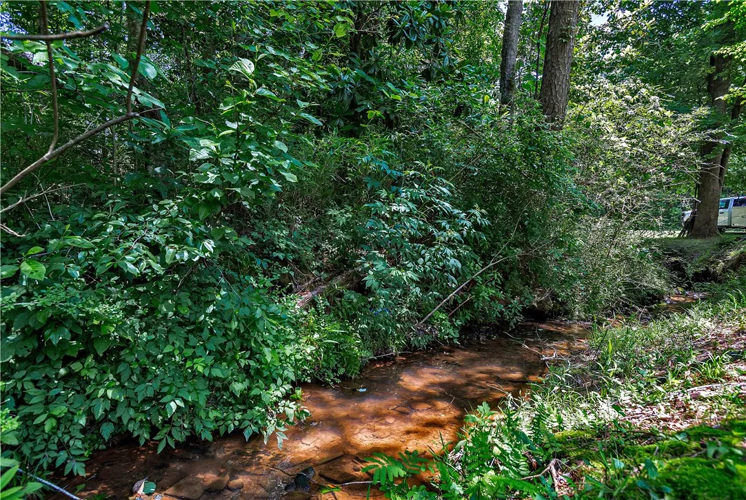 Property image 4 at 316 Briar Creek Road, Walhalla, SC 29691