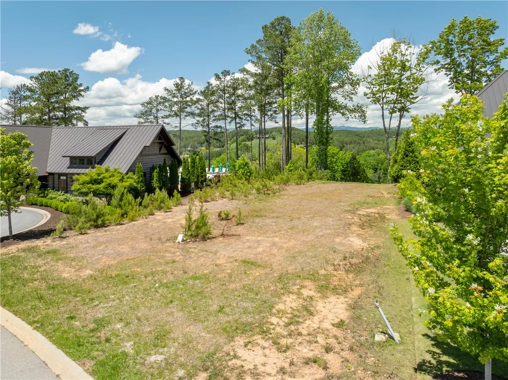 Property image 4 at 178 Settlement Village Drive, Sunset, SC 29685