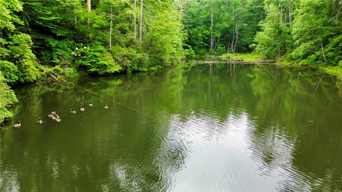 Property image 2 at Lot 78 Inland Trail, Salem, SC 29676