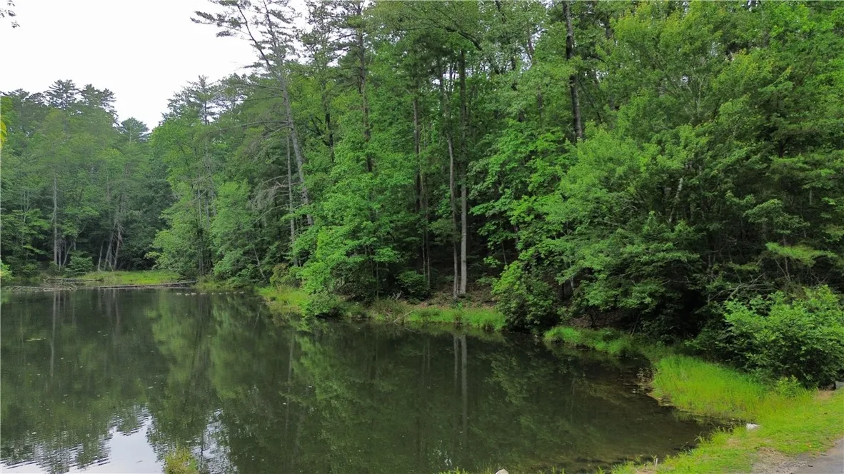 Property image 5 at Lot 78 Inland Trail, Salem, SC 29676