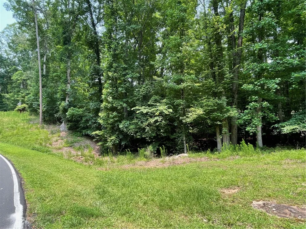 Property image 1 at Lot 784 S Hogan Drive, Westminster, SC 29693