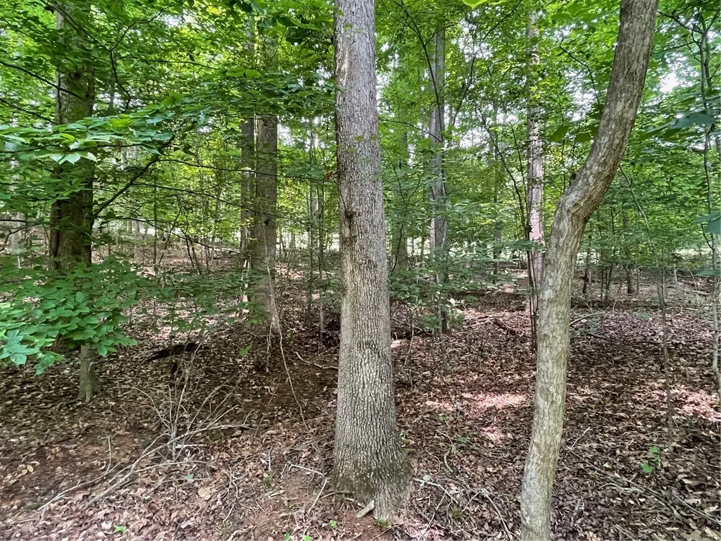 Property image 3 at Lot 784 S Hogan Drive, Westminster, SC 29693