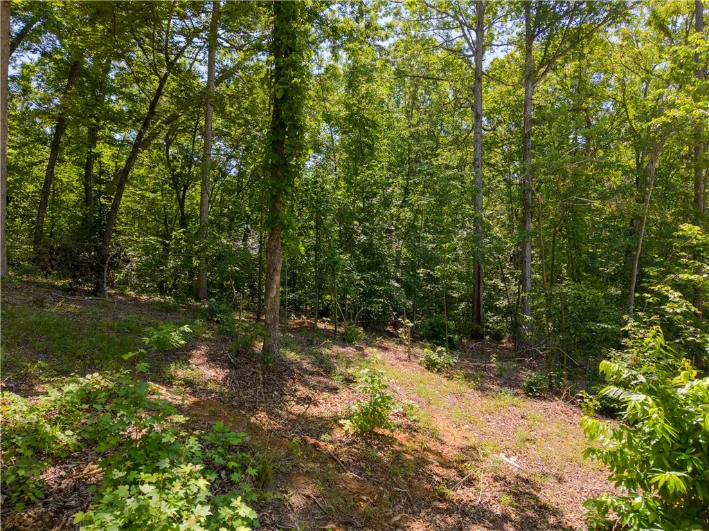 The Summit, Seneca Community