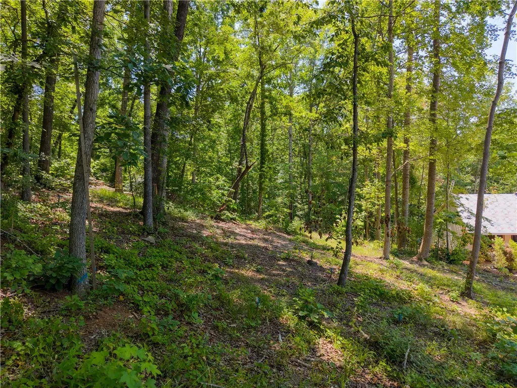 Property image 3 at 507 Viewpoint Court, Seneca, SC 29672