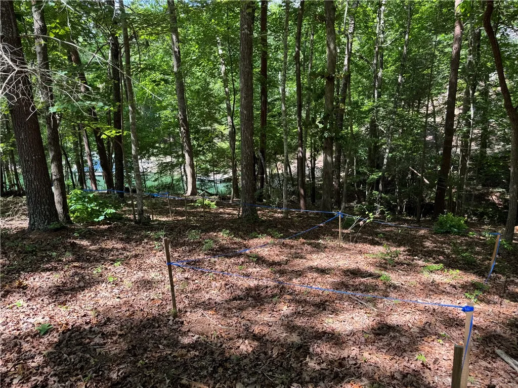 Property image 5 at 102 Sun Dew Court, Sunset, SC 29685
