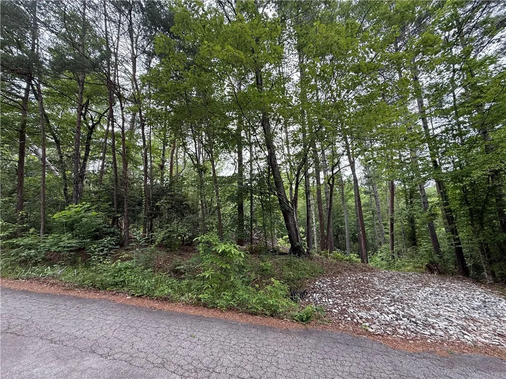 Property image 2 at 318 Gauley Falls Road, Pickens, SC 29671