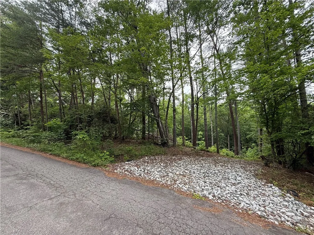 Property image 3 at 318 Gauley Falls Road, Pickens, SC 29671