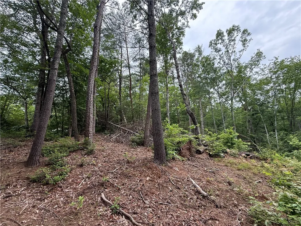 Property image 4 at 318 Gauley Falls Road, Pickens, SC 29671