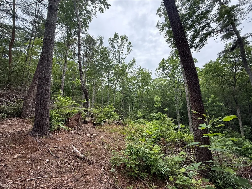 Property image 5 at 318 Gauley Falls Road, Pickens, SC 29671