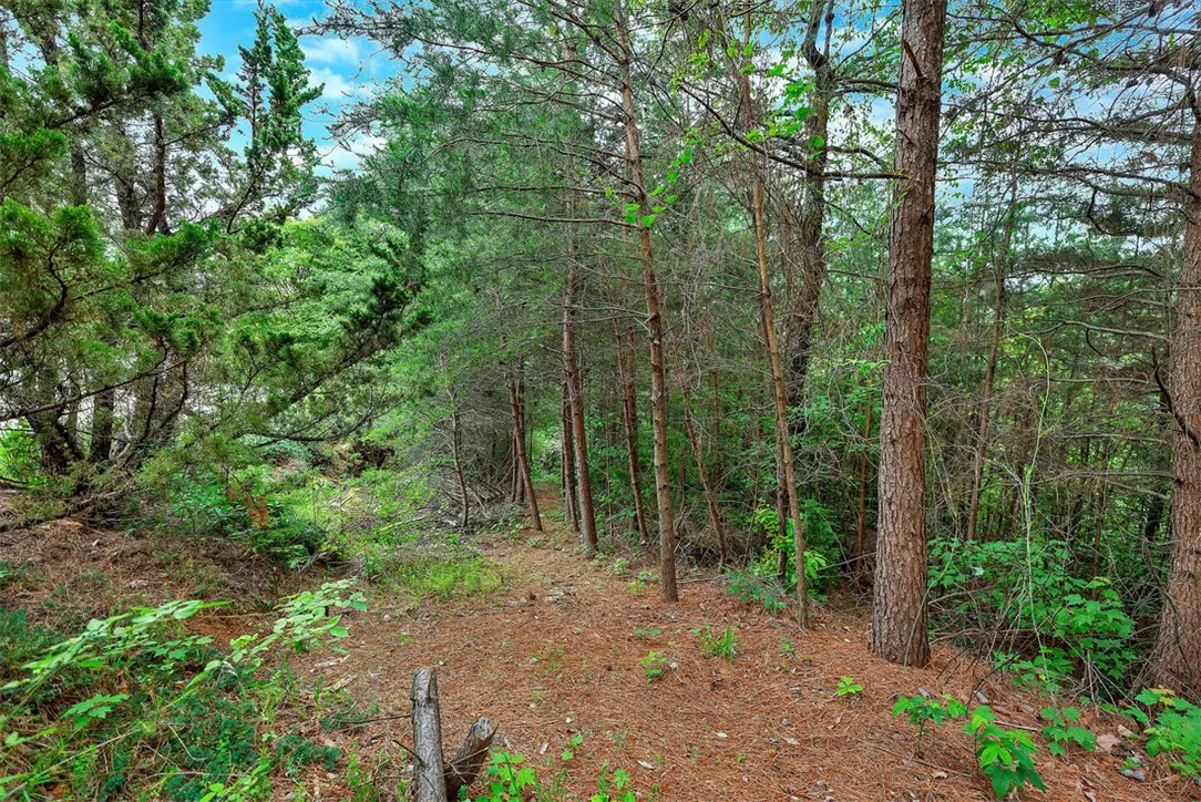 Property image 4 at Lot N 25 Jocassee Ridge Way, Salem, SC 29676