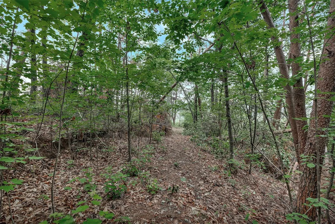 Property image 5 at Lot N 25 Jocassee Ridge Way, Salem, SC 29676