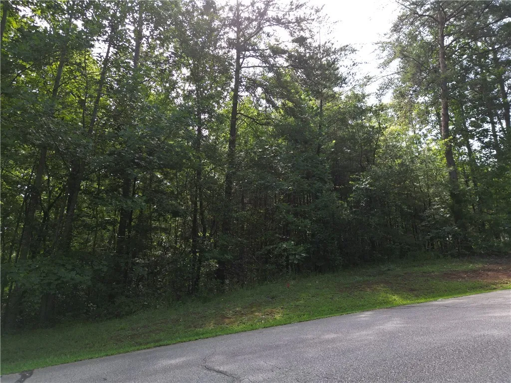 Property image 2 at 505 Scharlin Drive, Pickens, SC 29671