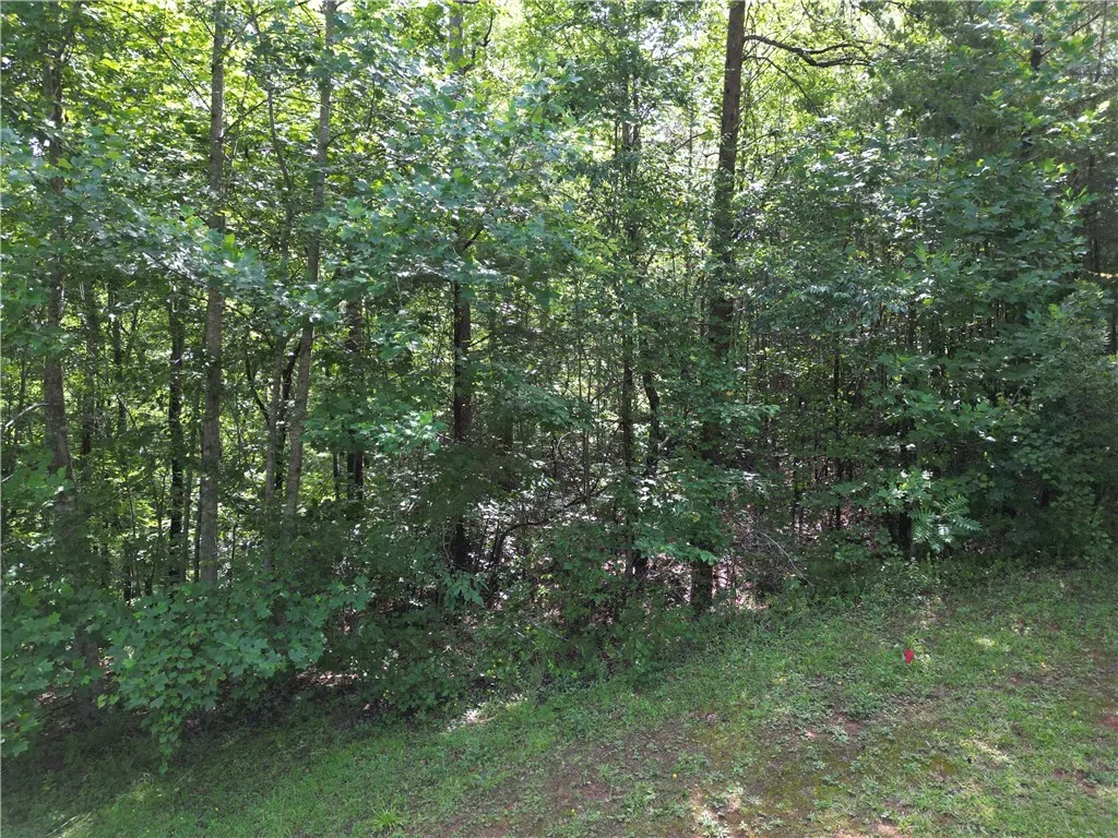 Property image 3 at 505 Scharlin Drive, Pickens, SC 29671