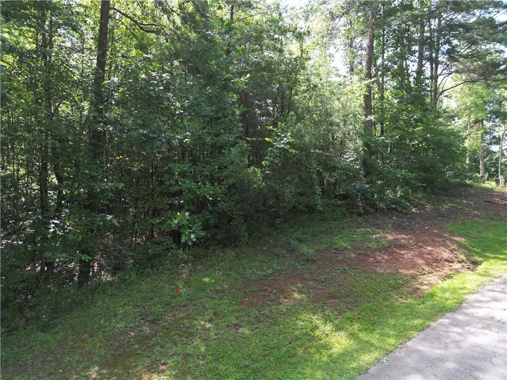 Property image 4 at 505 Scharlin Drive, Pickens, SC 29671