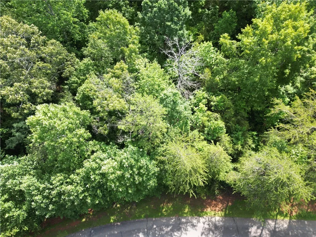 Property image 5 at 505 Scharlin Drive, Pickens, SC 29671