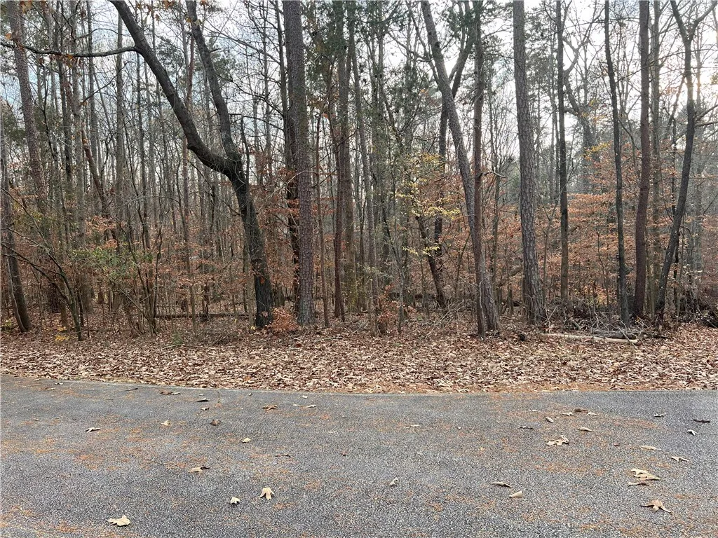 205 Apricot Lane