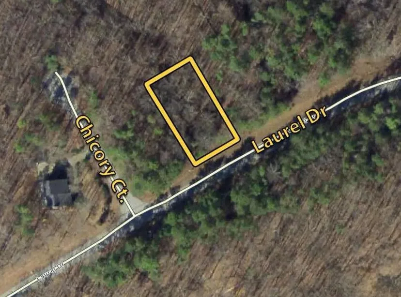 000 Laurel Drive