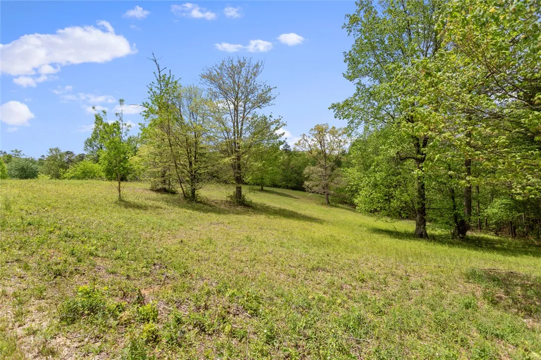 Property image 3 at 003 Lenore B Lane, Mountain Rest, SC 29664