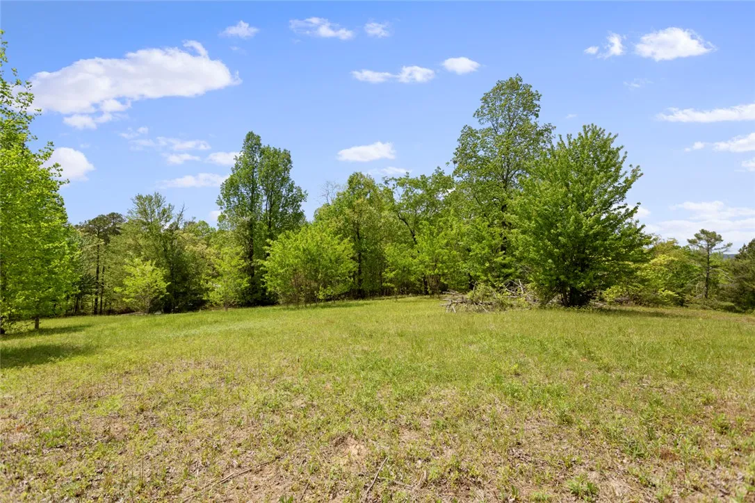 Property image 3 at 002 Lenore B Lane, Mountain Rest, SC 29664