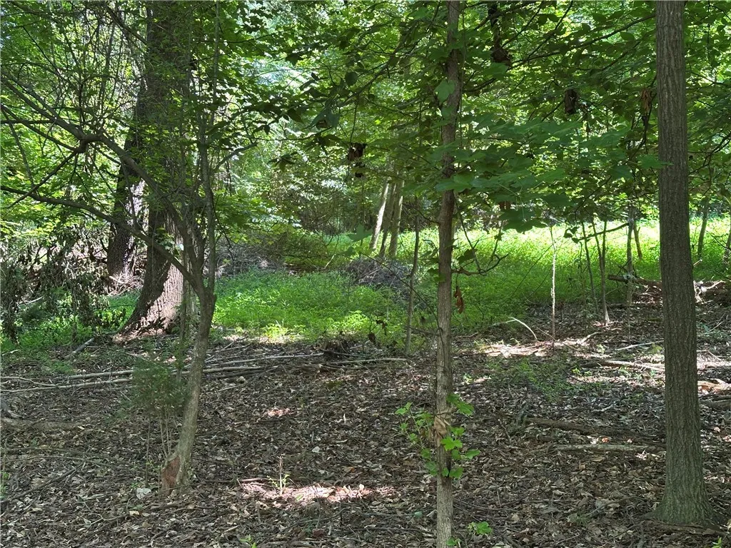 Property image 3 at Lot 23 Fisher Road, Anderson, SC 29625