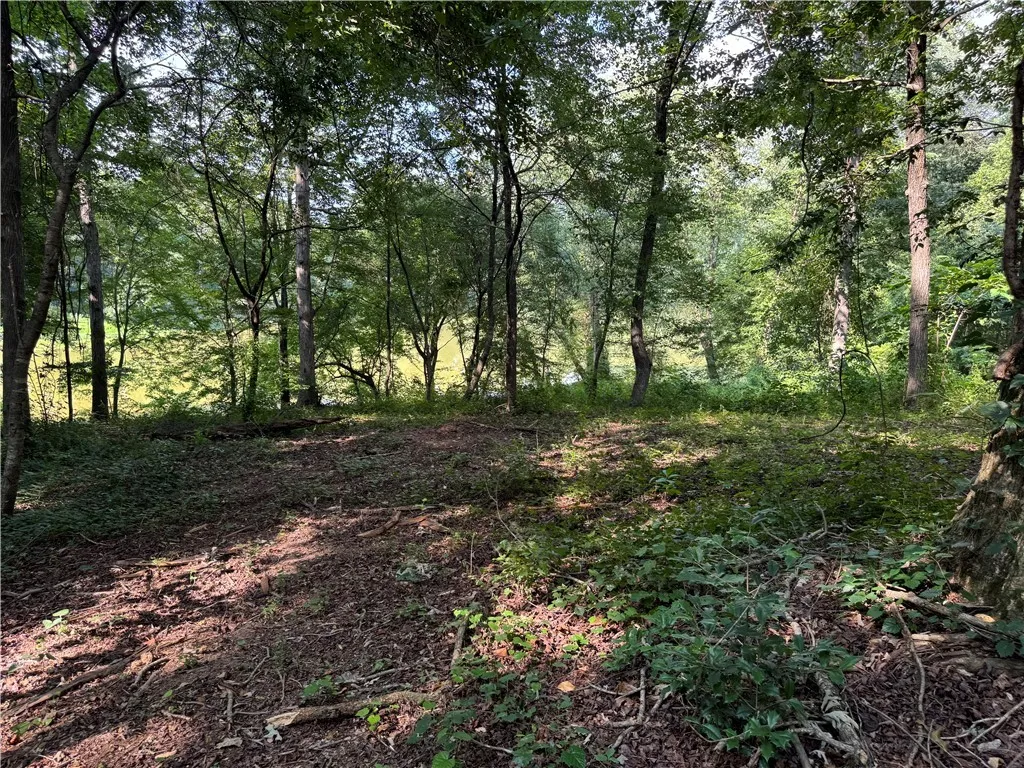 Property image 2 at Lot 26 Arrowhead Lake Trail, Westminster, SC 29693